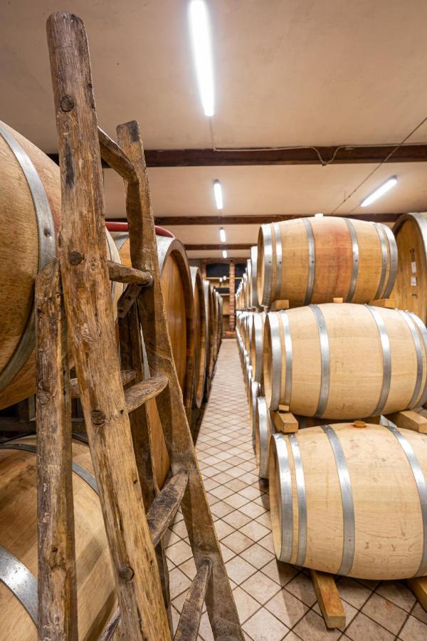 Agriturismo Cascina Sciulun Monforte dʼAlba Dış mekan fotoğraf