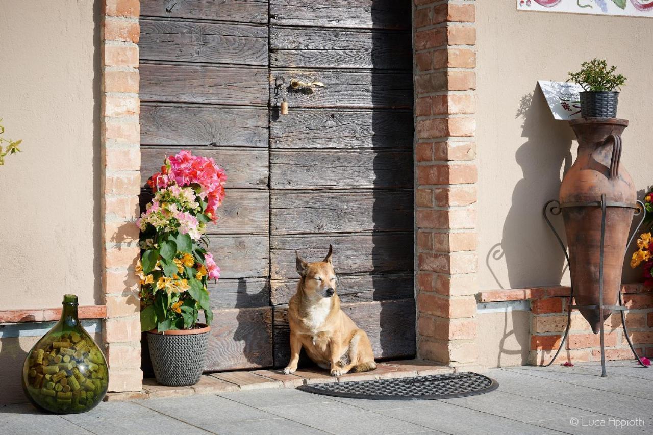 Agriturismo Cascina Sciulun Monforte dʼAlba Dış mekan fotoğraf