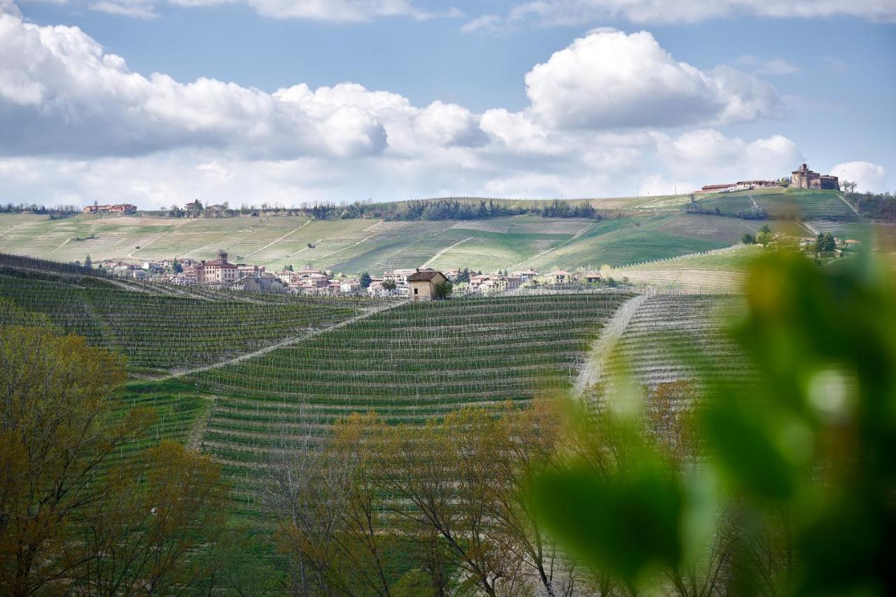 Agriturismo Cascina Sciulun Monforte dʼAlba Dış mekan fotoğraf