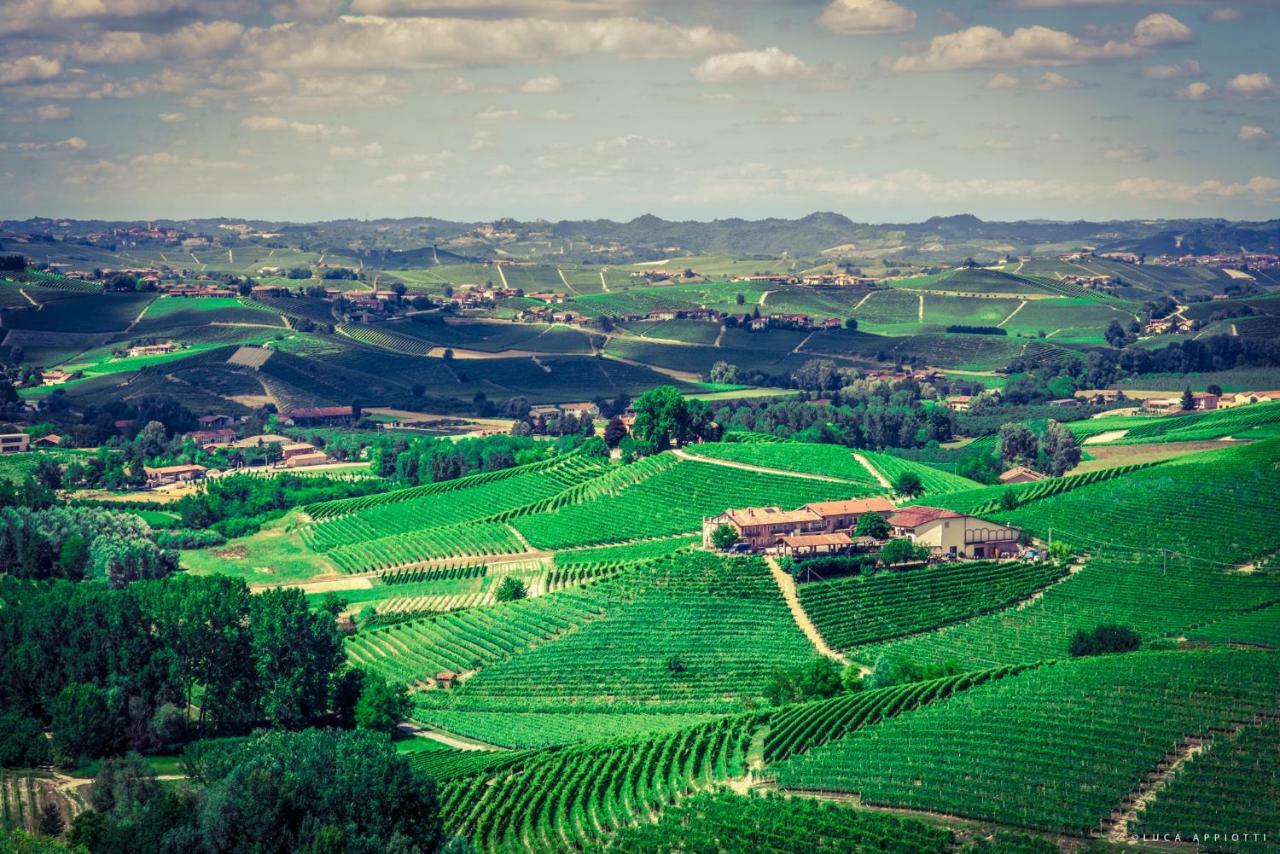 Agriturismo Cascina Sciulun Monforte dʼAlba Dış mekan fotoğraf