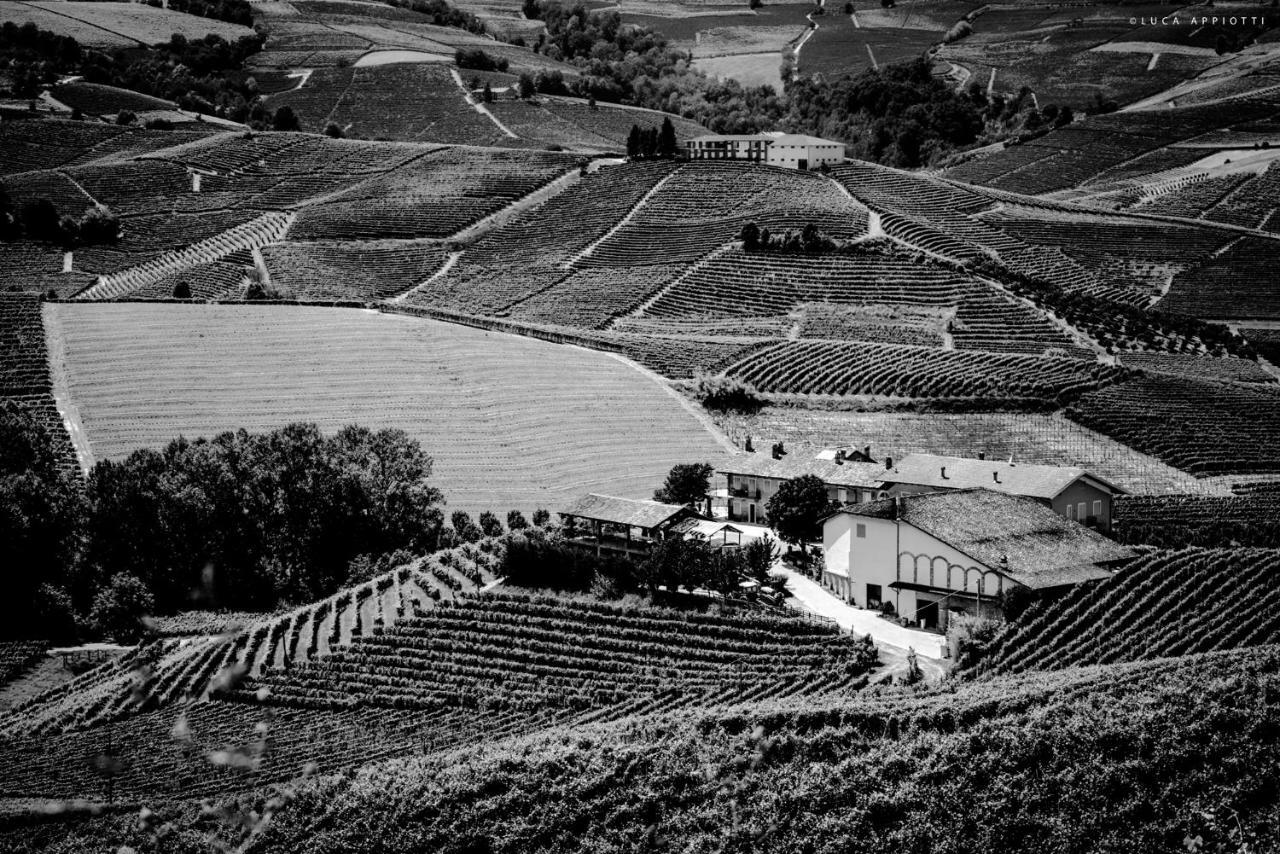 Agriturismo Cascina Sciulun Monforte dʼAlba Dış mekan fotoğraf